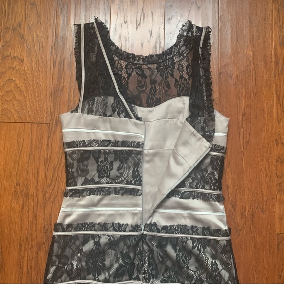 🌈 BCBG Lace Stripe Dress in Warm Grey | Size 6 - Picture 6 of 9